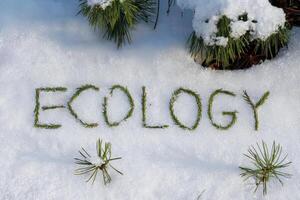 Evergreen branches spelling 'ecology' on a snowy landscape. photo