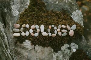 Stones spelling out 'ECOLIFE' on a moss-covered rock. photo