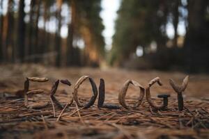 Ecology spelled out with natural materials in a serene forest setting. photo