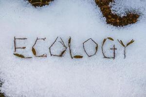 Twigs forming the word 'ecology' on a snowy ground. photo