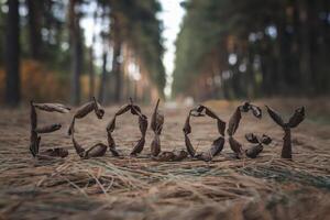 Word 'Ecology' spelled out with leaves in a peaceful forest setting. photo