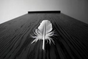 Single white feather on dark wooden surface, symbolizing peace and fragility. photo