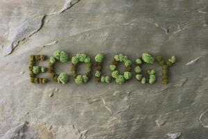 The word 'Ecology' formed with green moss on rough stone surface. photo