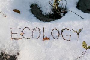 The word 'ECOLOGY' spelled with twigs and leaves on snow. photo