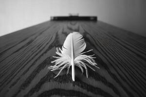 Close-up of a white feather on a dark wooden surface in a minimalistic setting. photo