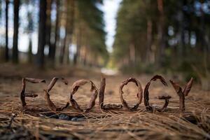 The word 'Ecology' made of dry leaves in a serene forest path. photo