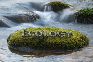 Mossy rock with 'Ecology' spelled in pebbles in a flowing river. photo