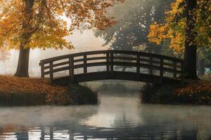 A serene wooden bridge over a misty river in an autumn forest. photo