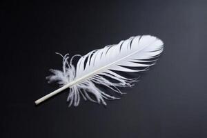 Close-up of a single white feather on a black background. photo