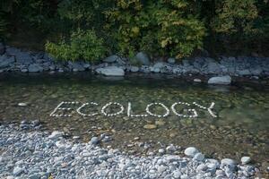 Ecology spelled with stones in a river surrounded by lush green trees. photo