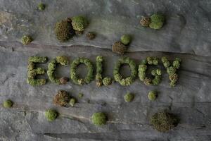 The word 'ECOLOGY' spelled with moss on a stone surface. photo