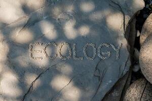 Word 'ECOLOGY' spelled with pebbles on a large rock. photo