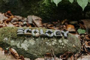 Word 'ecology' spelled with stones on a mossy rock in a forest setting. photo