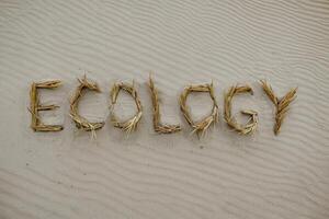 The word 'Ecology' spelled with straw on rippled sand beach. photo