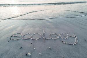 Seashells spell 'ecology' on a tranquil sandy beach at sunset. photo