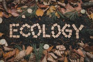 Ecology message created with wooden blocks surrounded by autumn leaves. photo