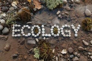 The word 'ECOLOGY' spelled out with stones in a natural stream setting. photo