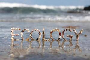 Ecology spelled out with shells on a beach highlighting environmental awareness. photo