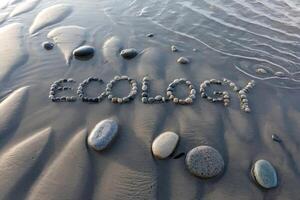 Pebbles forming the word 'Ecology' on a wet sandy beach. photo