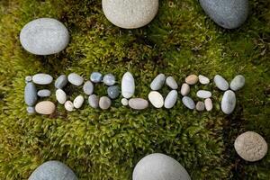 Pebbles arranged to spell 'Ecology' on vibrant green mossy ground. photo