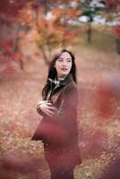 Portrait of a young Asian woman with autumn leaves photo