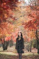 Portrait of a young Asian woman with autumn leaves photo