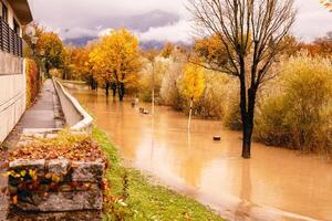 Autumn Flooded Park Pathway, Trees Reflecting in Water, Cloudy Sky, Tranquil Environment, Autumn Nature Concept photo