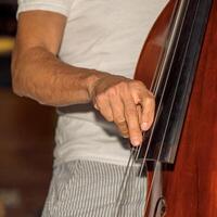 Musician playing double bass, closeup of hands on strings and instrument, detailed view concept photo