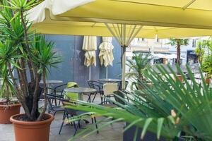 Outdoor cafe with potted plants, empty tables under yellow umbrellas, urban setting, daytime, hospitality, relaxation concept photo
