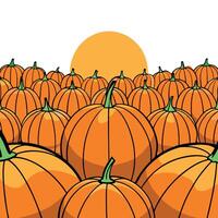 Pumpkins in a field with the sun in the background vector