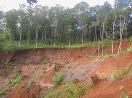 A red hillside with trees and dirt photo