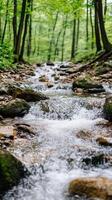 A stream running through a forest with rocks and trees photo