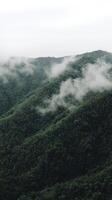 A plane flying over a forested area with low clouds photo