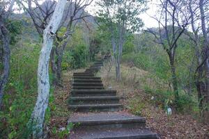 A set of stairs leading up to a hillside photo