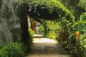 A path that is lined with plants and rocks photo