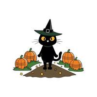 Black cat wearing a witch hat on a cobblestone path with lighted pumpkins in fall vector
