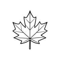 Continuous one black line drawing maple leaf icon outline doodle illustration vector