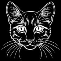Backlit cat portrait on black background with space for text vector
