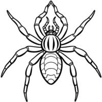 A close up of a spider isolated on a transparent background vector