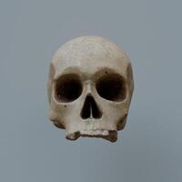 3d Render of skull head photo