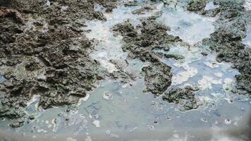 Close up of mud and water on the ground. Natural background. photo