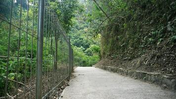 Concrete walkway in green forest with metal fence. Nature background. photo