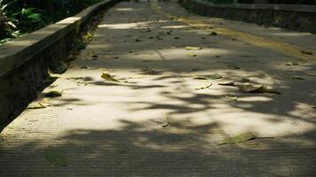 Fallen leaves on the concrete bridge in the park, Indonesia. photo