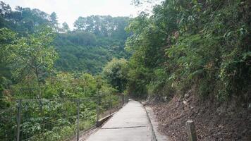Hiking trail in the forest with concrete road. photo