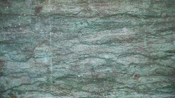 Natural tree wooden surface old. Wood rustic dark texture background. photo