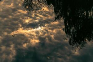 Close-up of a dead leaf on a river. Clouds reflecting on the surface of a river photo