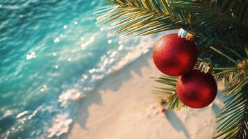 Christmas celebration in tropics with palm tree photo