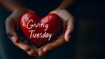 Diverse hands holding red heart with text photo