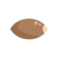 Whole sapodilla fruit showing seed inside icon vector