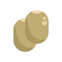 Two whole kiwi fruits overlapping showing speckles vector
